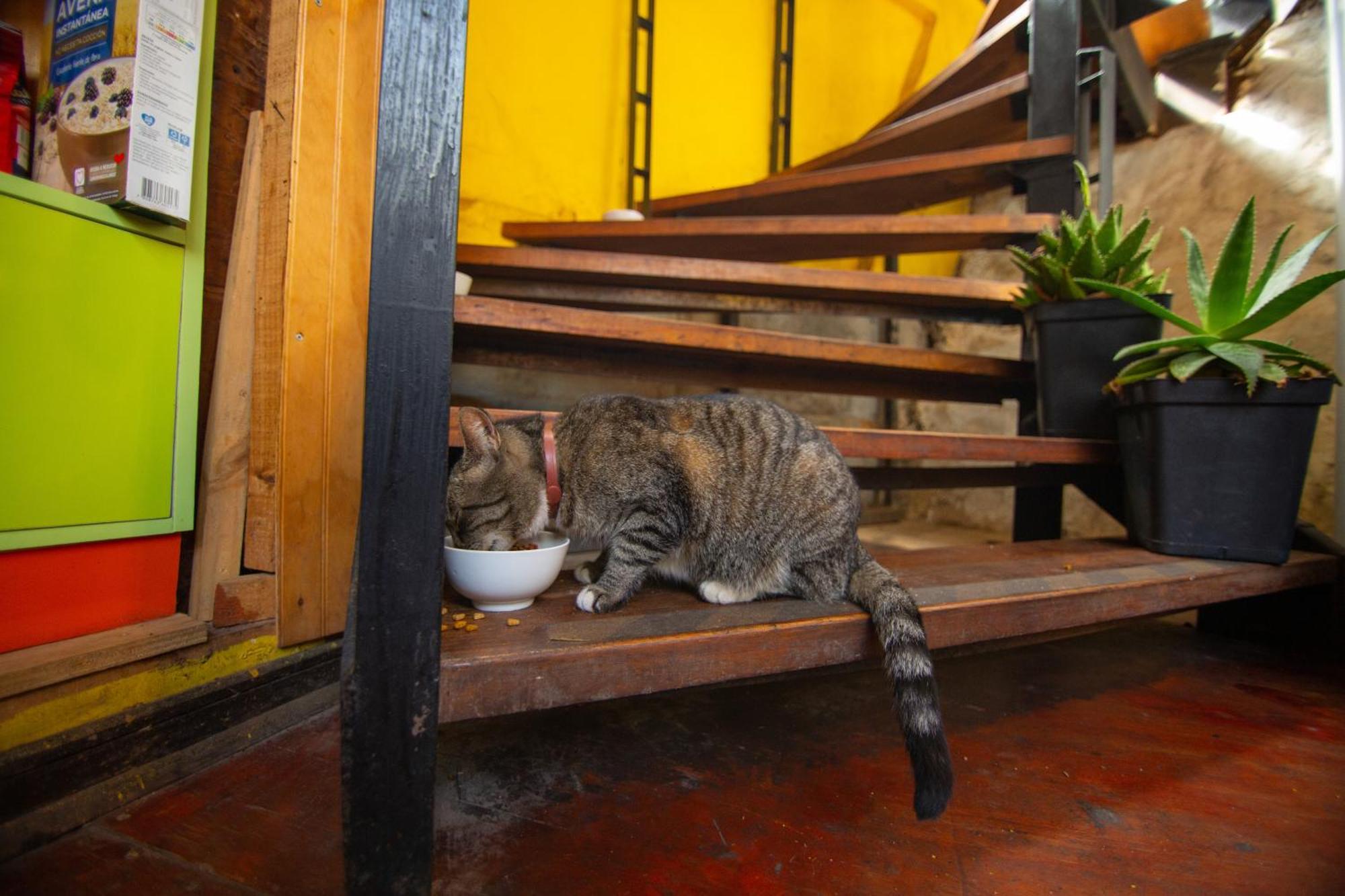 La Casa Del Puerto, Hostal Cultural, Cerro Alegre Valparaíso Eksteriør billede