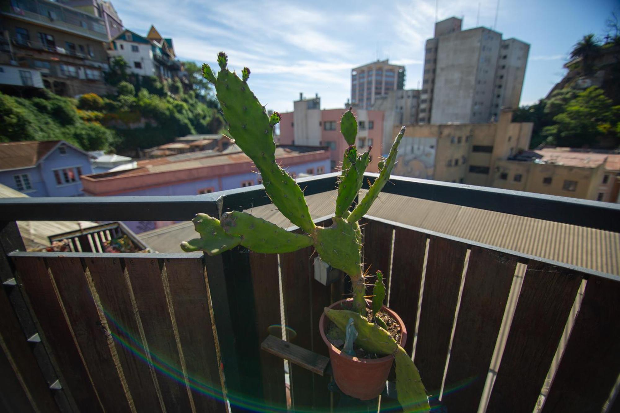 La Casa Del Puerto, Hostal Cultural, Cerro Alegre Valparaíso Eksteriør billede