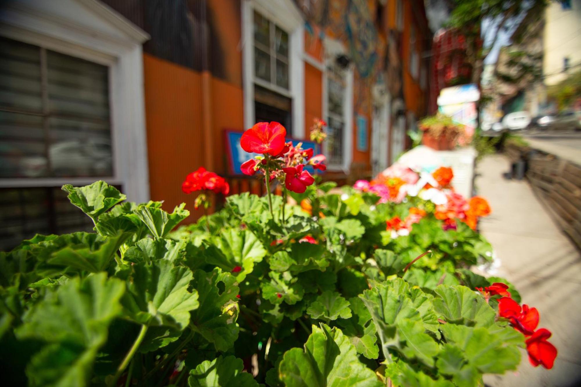 La Casa Del Puerto, Hostal Cultural, Cerro Alegre Valparaíso Eksteriør billede