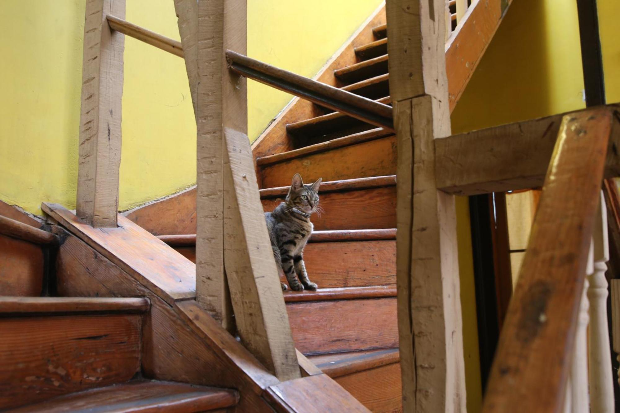 La Casa Del Puerto, Hostal Cultural, Cerro Alegre Valparaíso Eksteriør billede