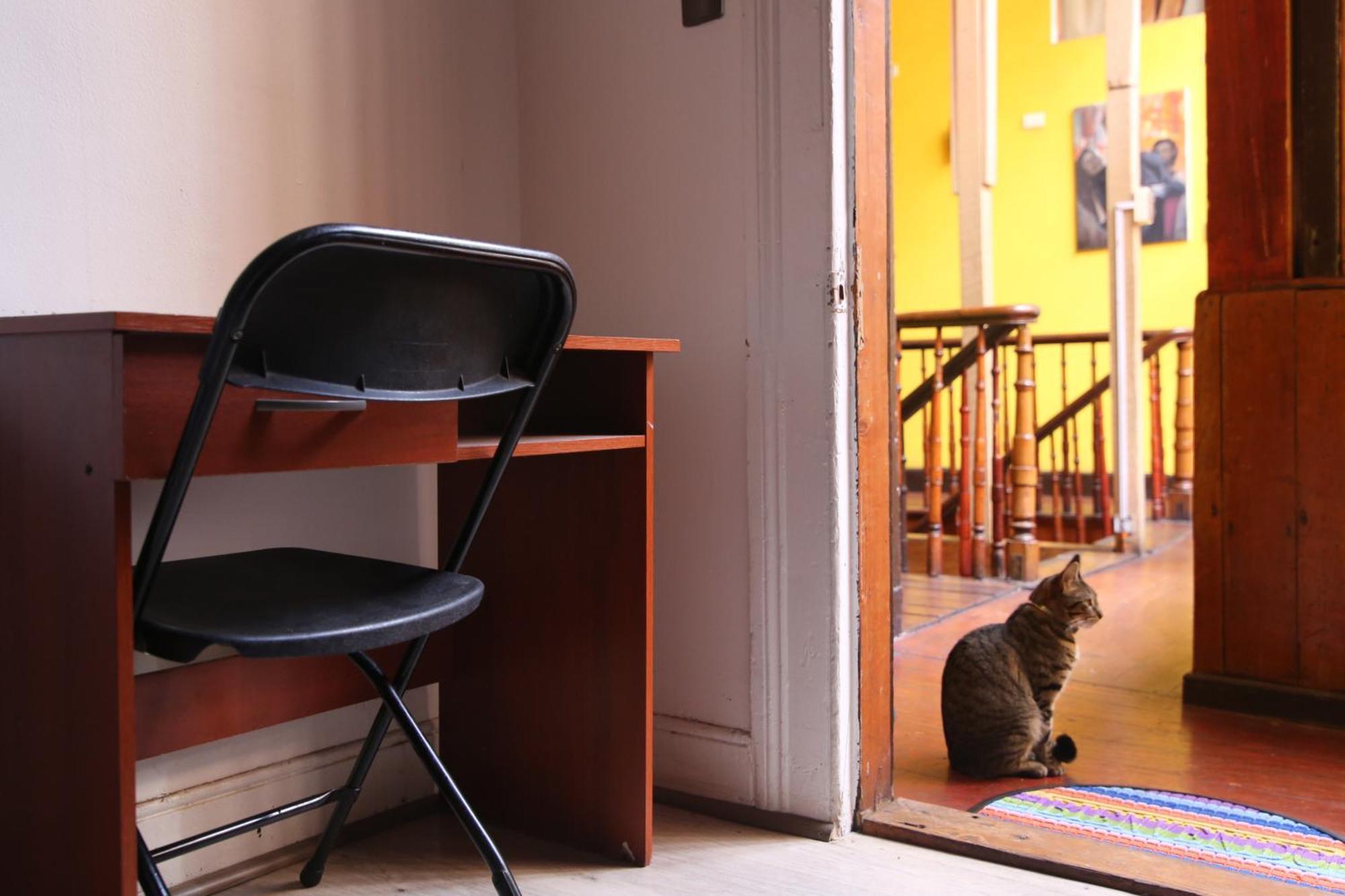 La Casa Del Puerto, Hostal Cultural, Cerro Alegre Valparaíso Eksteriør billede